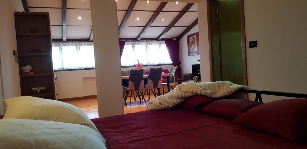 Apartmens Alenka Rovinj Buitenkant foto